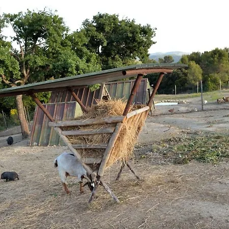 Apartamento La Limonaia *